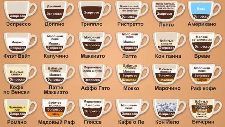 Кофе. Сорта и разновидности любимого напитка