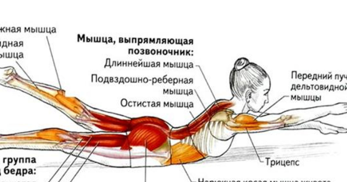 Омолаживающие упражнения для спины