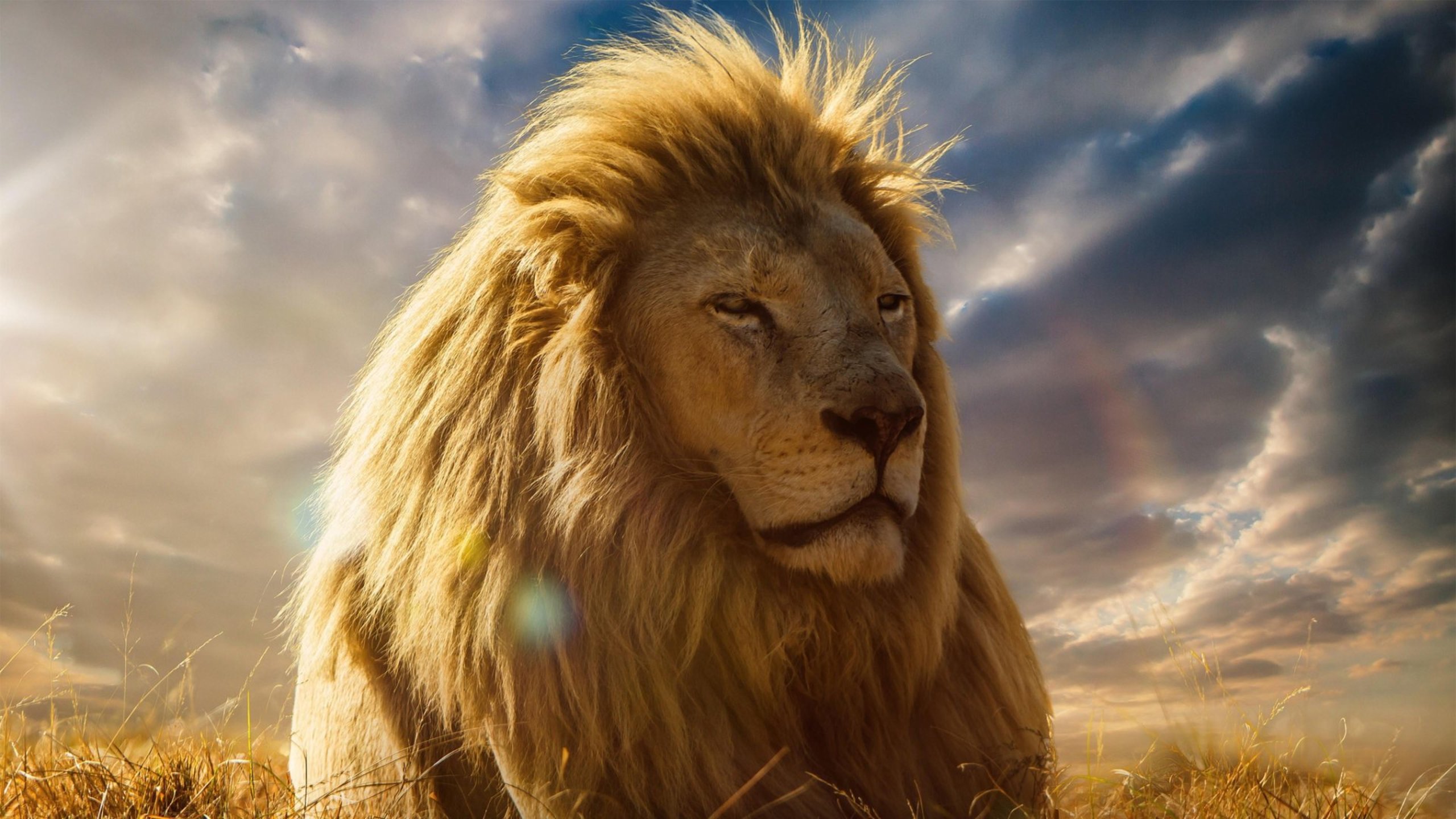30 невероятных причин, почему никто не может жить без Львов