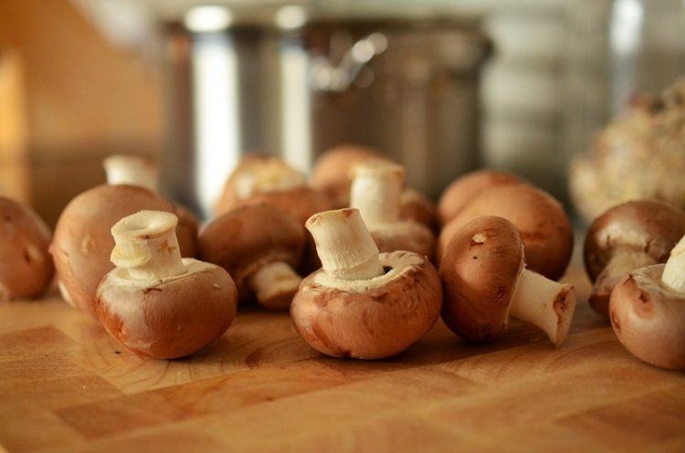 7 ошеломляющих фактов, о которых должен знать каждый любитель грибов!