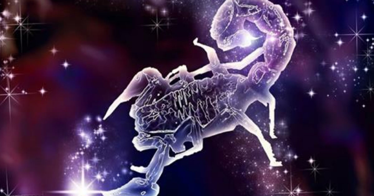 Почему Скорпион — самый важный знак Зодиака, «ангел, танцующий в ночи»