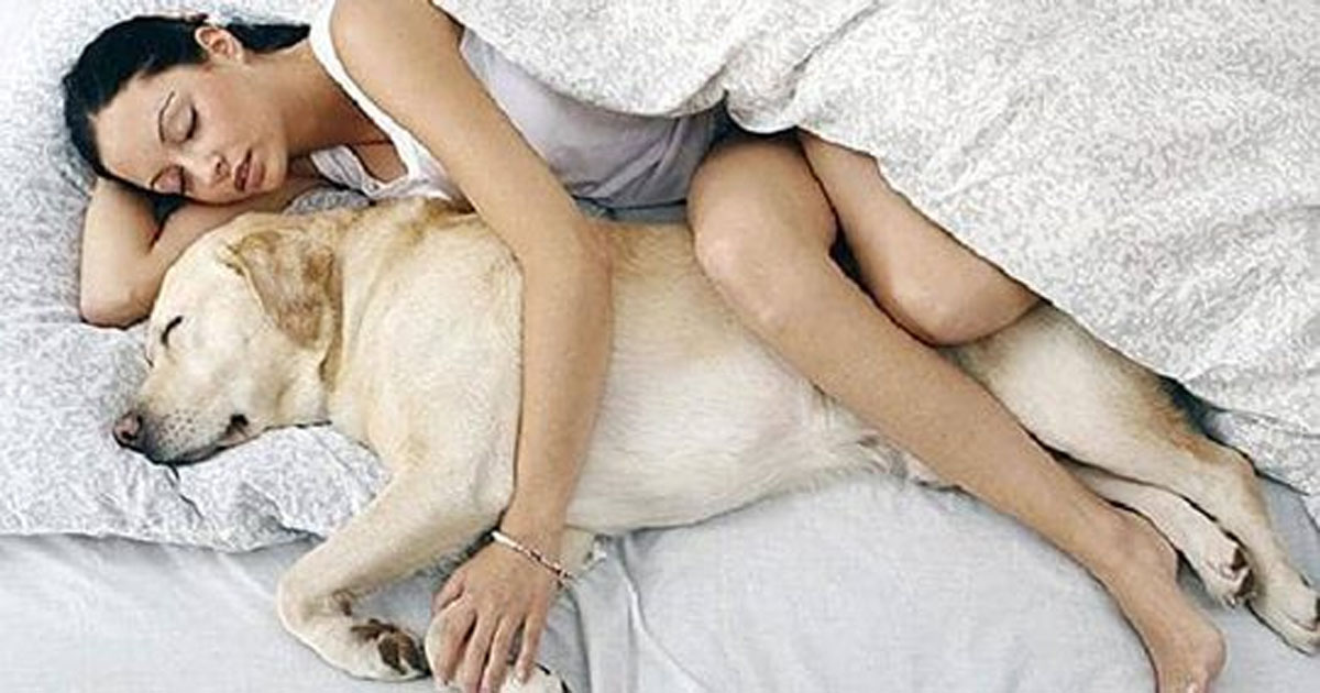 7 неожиданных причин, почему ваша собака должна спать в вашей кровати