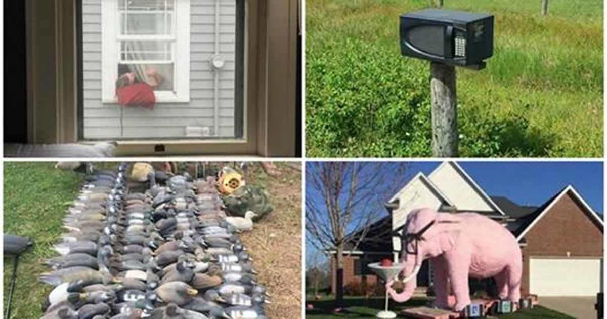 Когда с соседями — не соскучишься: 35 фото-историй