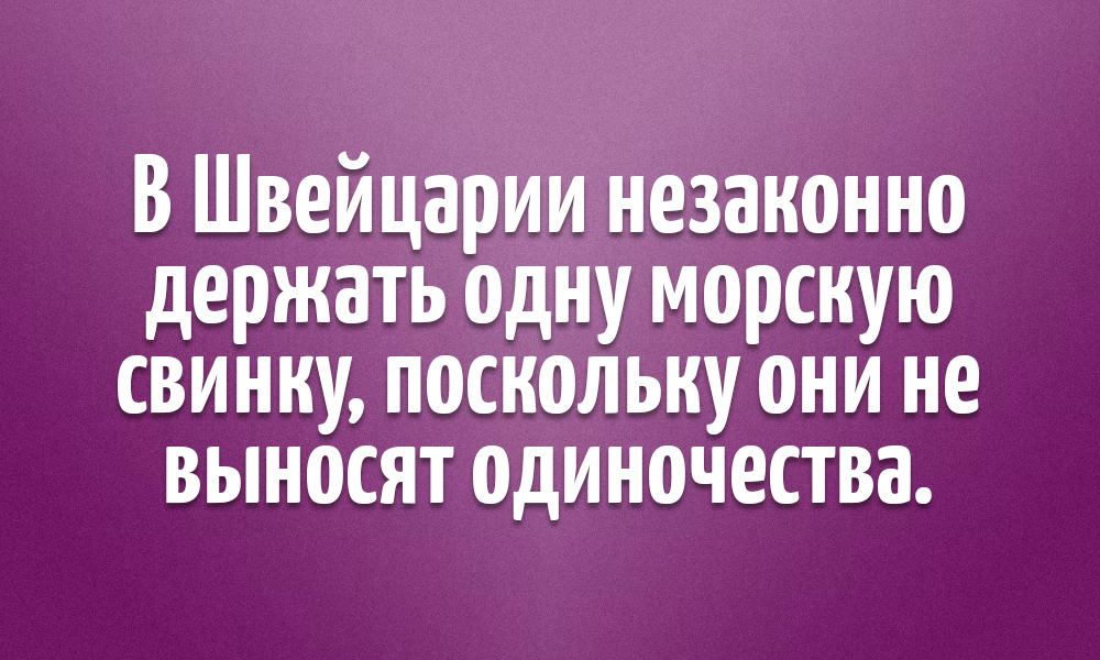 17 интересных фактов о разных странах, которые окажутся для вас сюрпризом