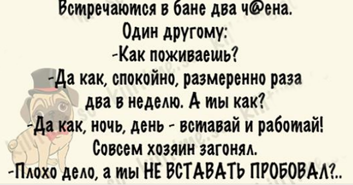 Весёлые анекдоты с просторов сети