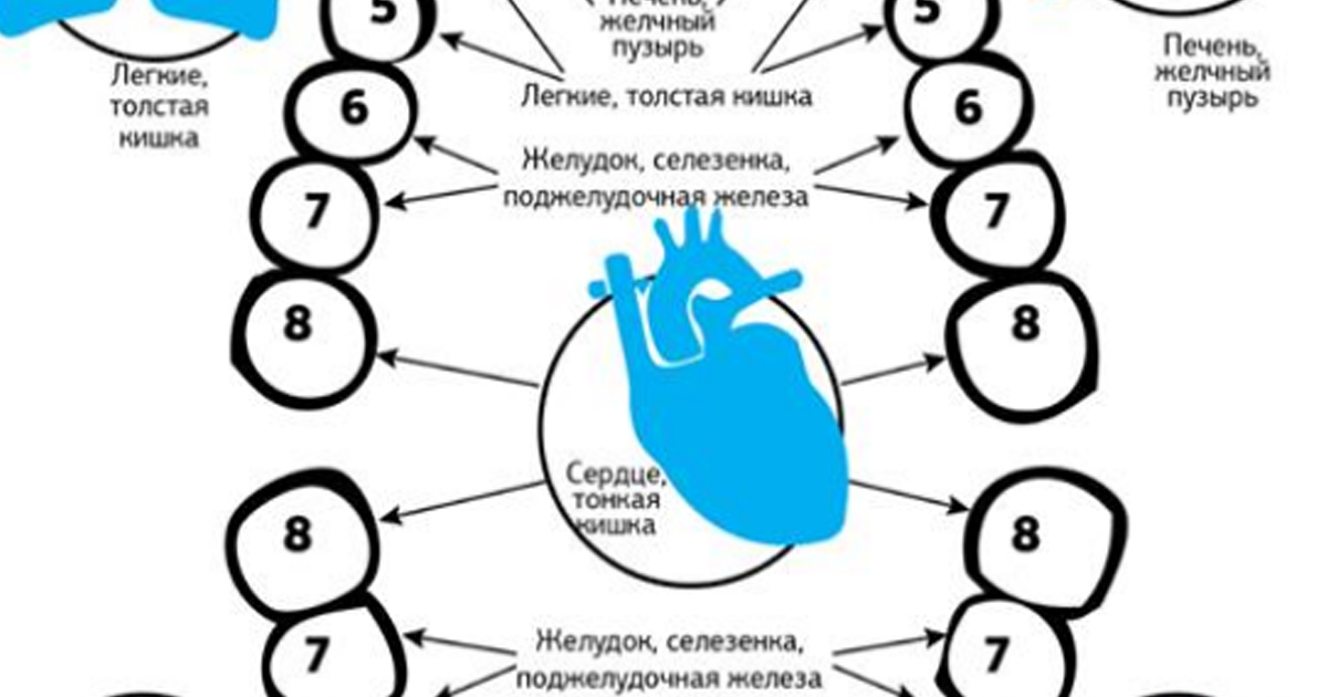 Райнхольд Фоль: Связь зубов с эндокринной системой и позвоночником