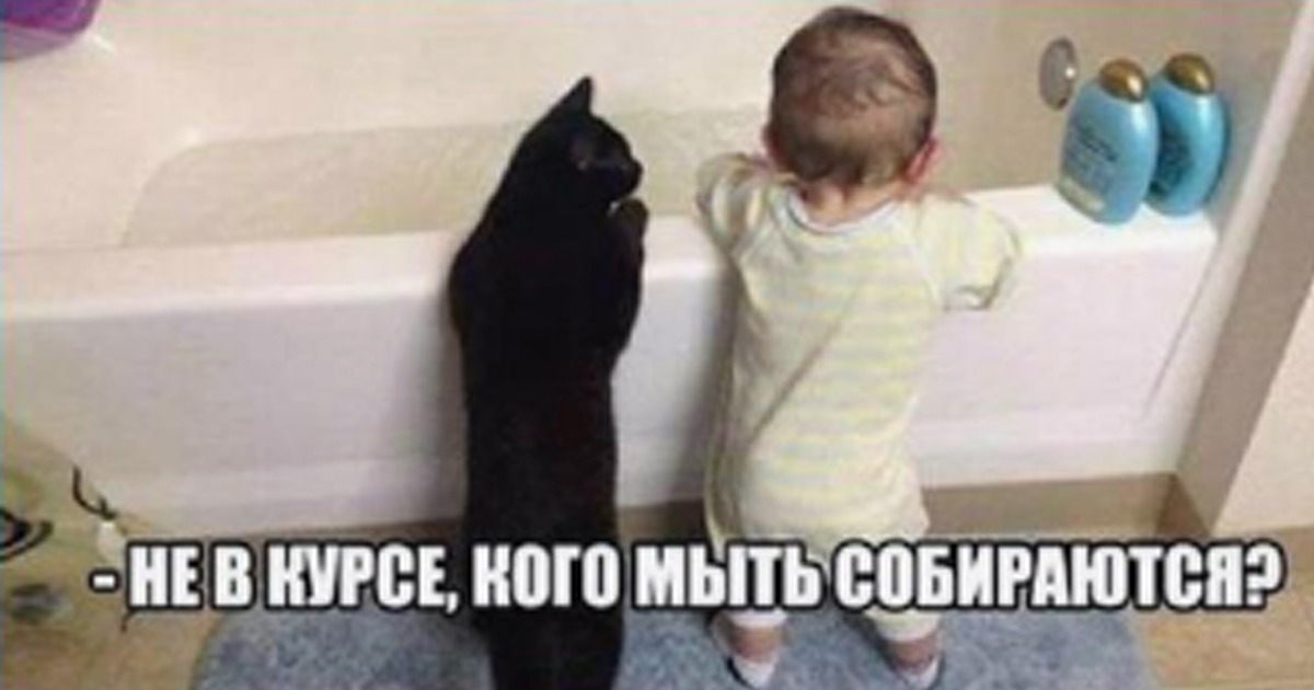 Черновик Черновик