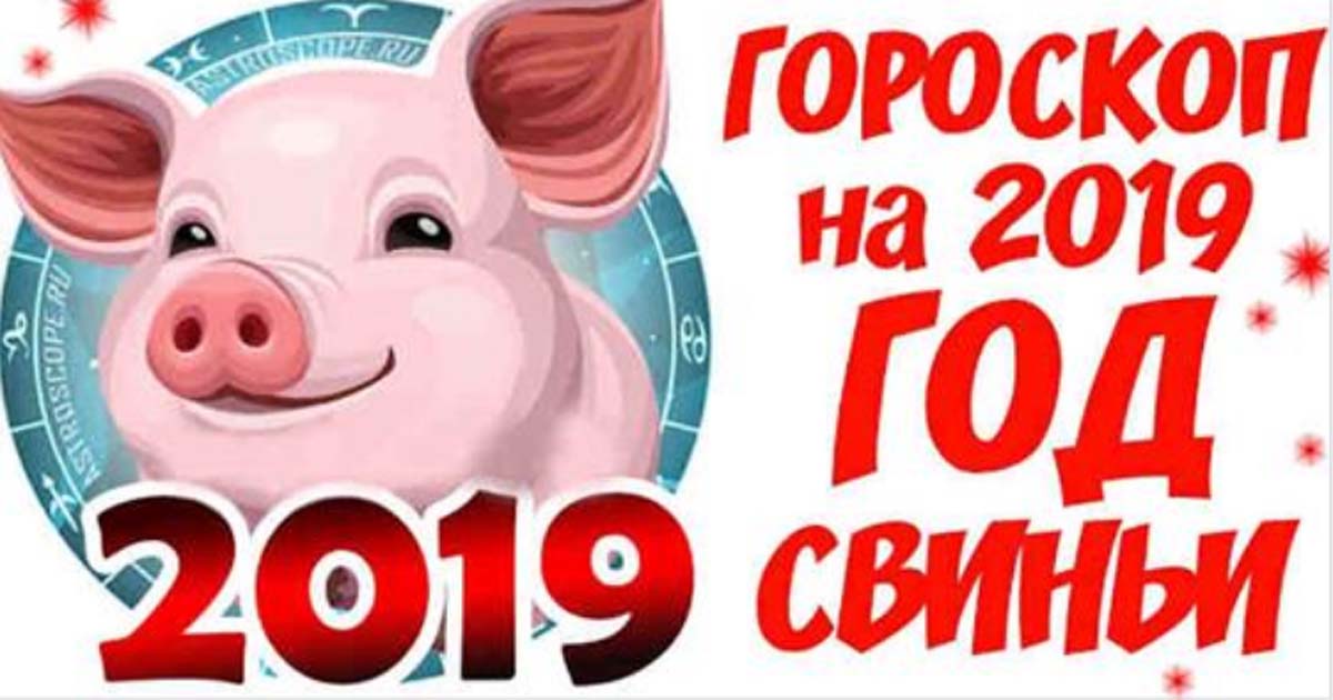 Точный гороскоп на 2019 год свиньи для каждого знака Зодиака