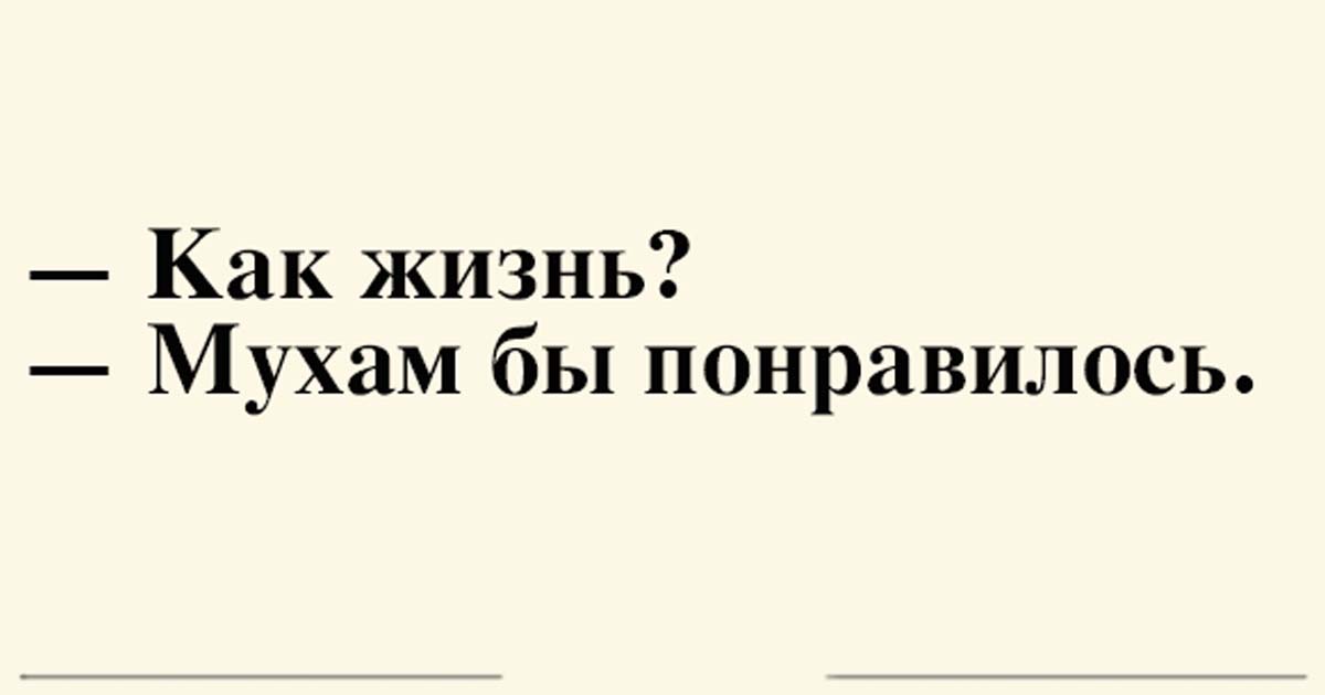 7 крутых анекдотов для отменного настроения