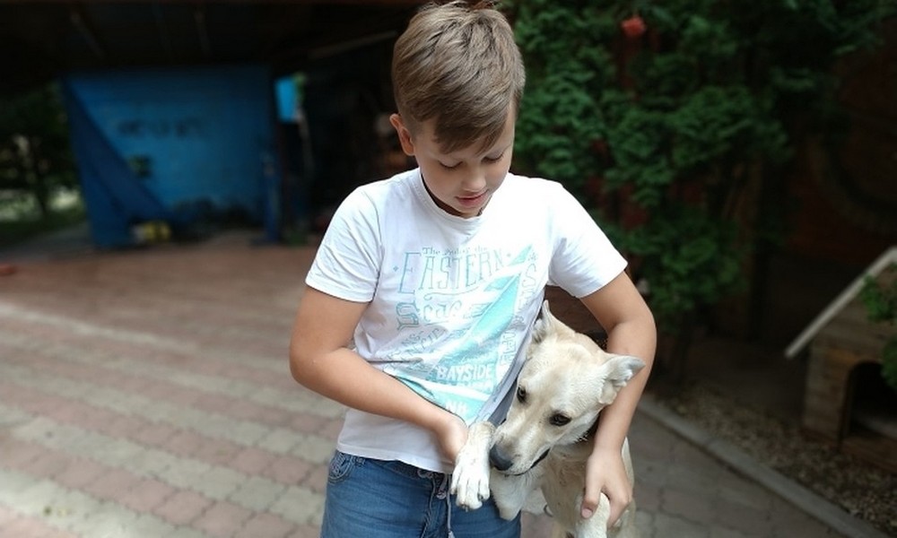 Пятиклассник продавал лимонад на улице, чтобы вылечить пса