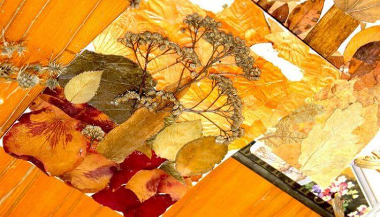 Японская ошибана: Великолепные картины из засушенных листьев и цветов