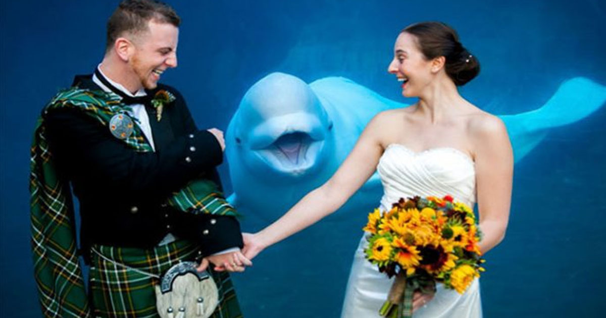 20 фото со свадеб, которые не должны были попасть в Интернет