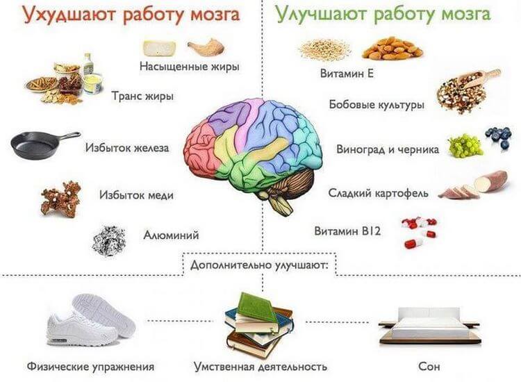 103 факта о человеческом теле