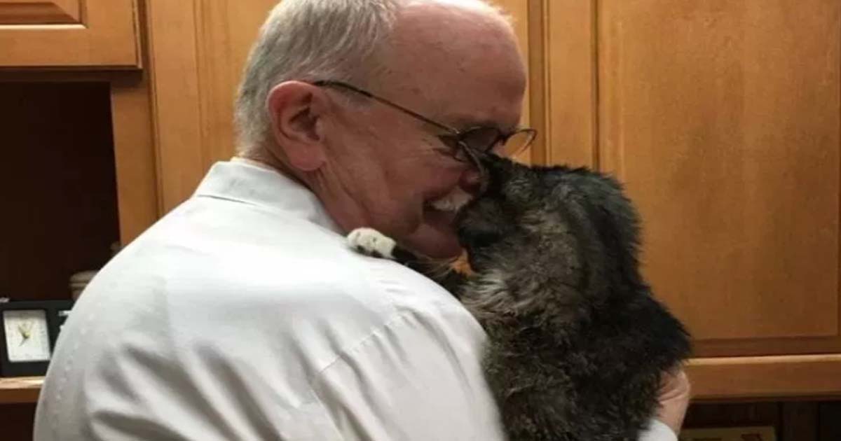 15-летний бродячий кот наконец дождался «своего человека», который взял его к себе