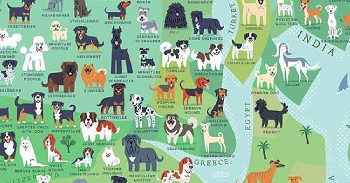 Карта происхождения пород собак