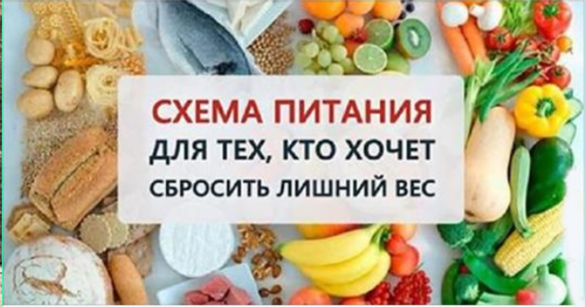 Схема питания для тех, кто хочет сбросить вес