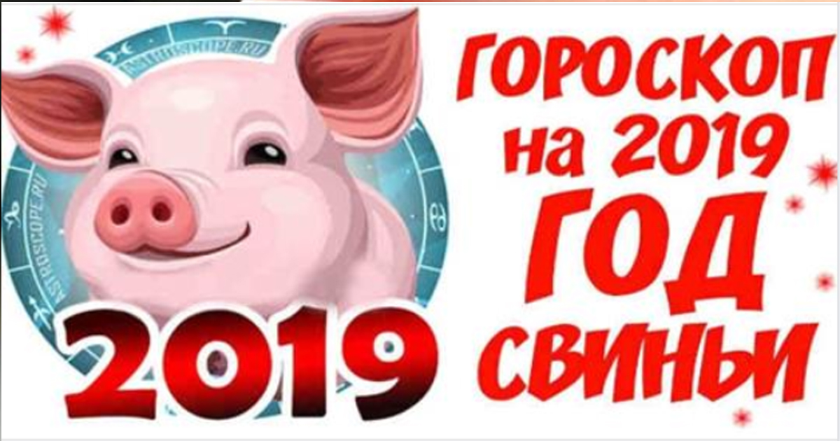 Самый точный гороскоп на 2019 год миролюбивой Свиньи для каждого знака Зодиака