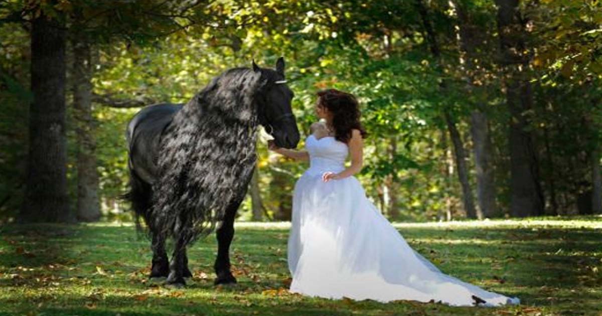Невероятно грациозный конь, который завораживает своей красотой