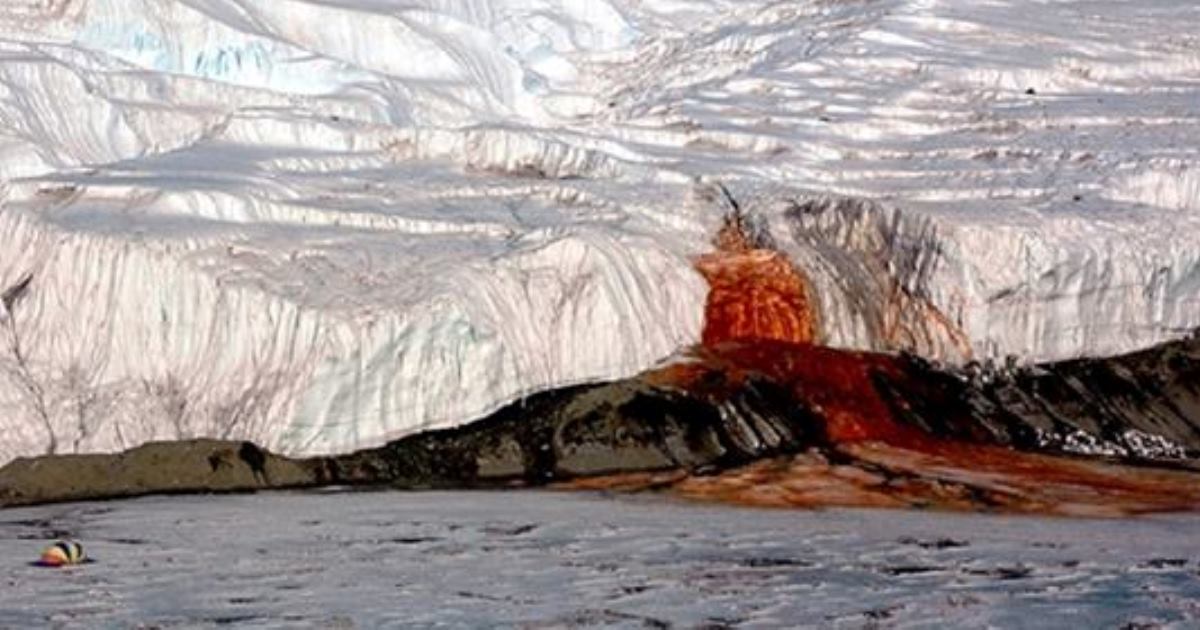 27 удивительных фактов об Антарктиде