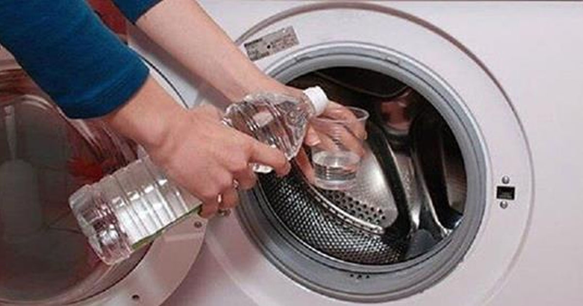 Бюджетный способ:  чистка стиральной машинки