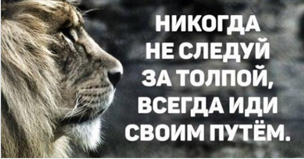 40 красивых цитат со смыслом о том как достичь счастья