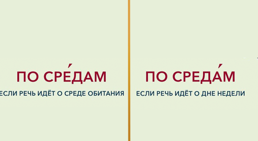 13 пар слов, которые грамотный человек ни за что не спутает