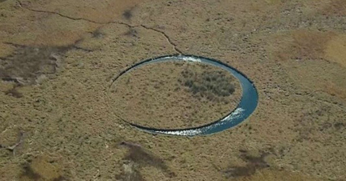Идеальное круглое озеро с плавающим озером в болотах Аргентины