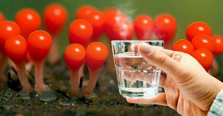 Полезные свойства воды и как ее правильно пить