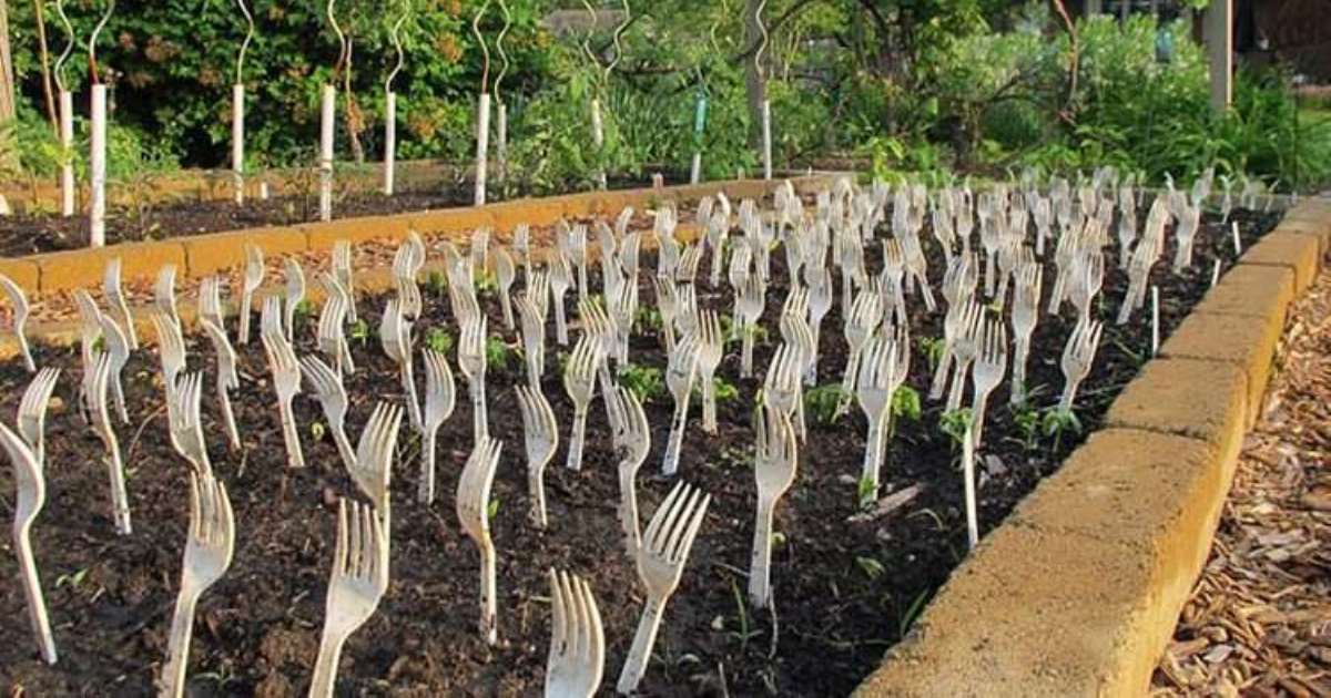 20 хитростей, которые помогут преобразить свой сад