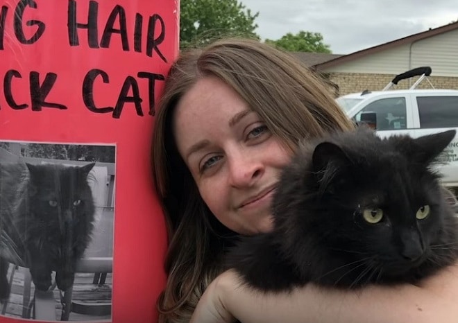 История любви: потерянный и найденный вновь любимый кот
