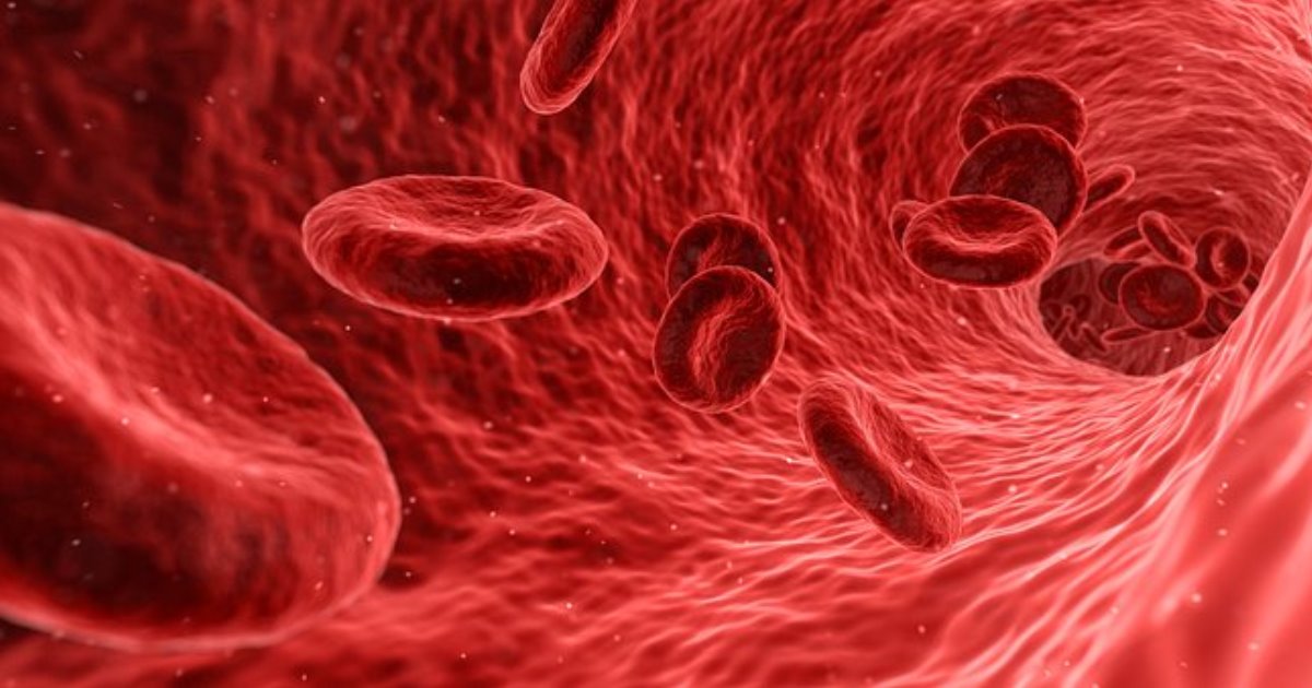 6 природных средств для разжижения крови