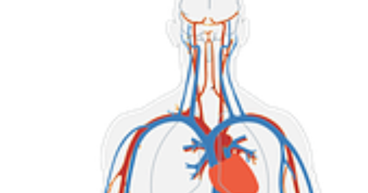 8 признаков дисфункции щитовидной железы