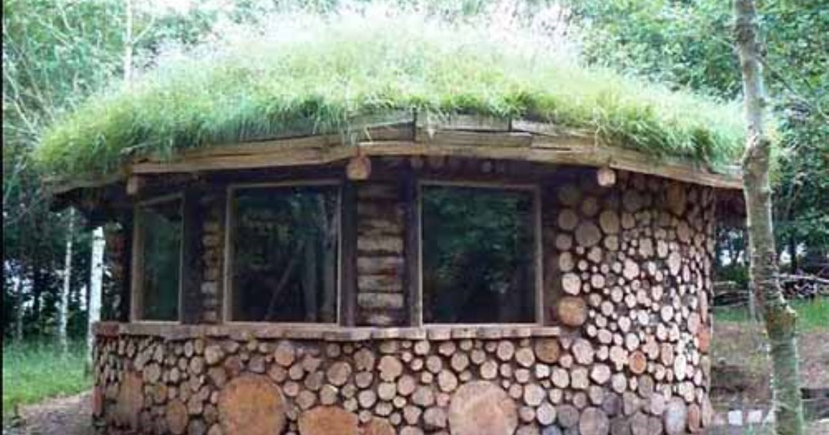 История о том, как люди построили дом из обычных дров