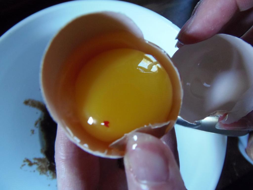 О причинах появления в яйцах красных вкраплений в белке