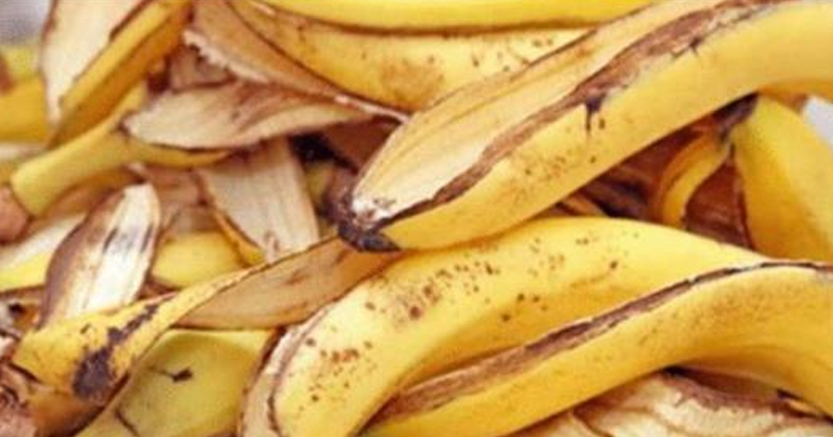 19 интересных фактов о том, где может пригодиться даже банановая кожура
