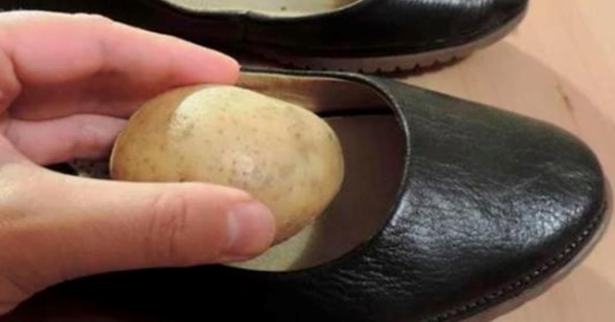 Лайфхак, как расстянуть обувь с помощью картофеля
