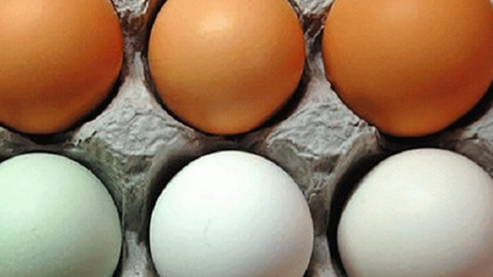 Статья о хранении яиц в холодильнике