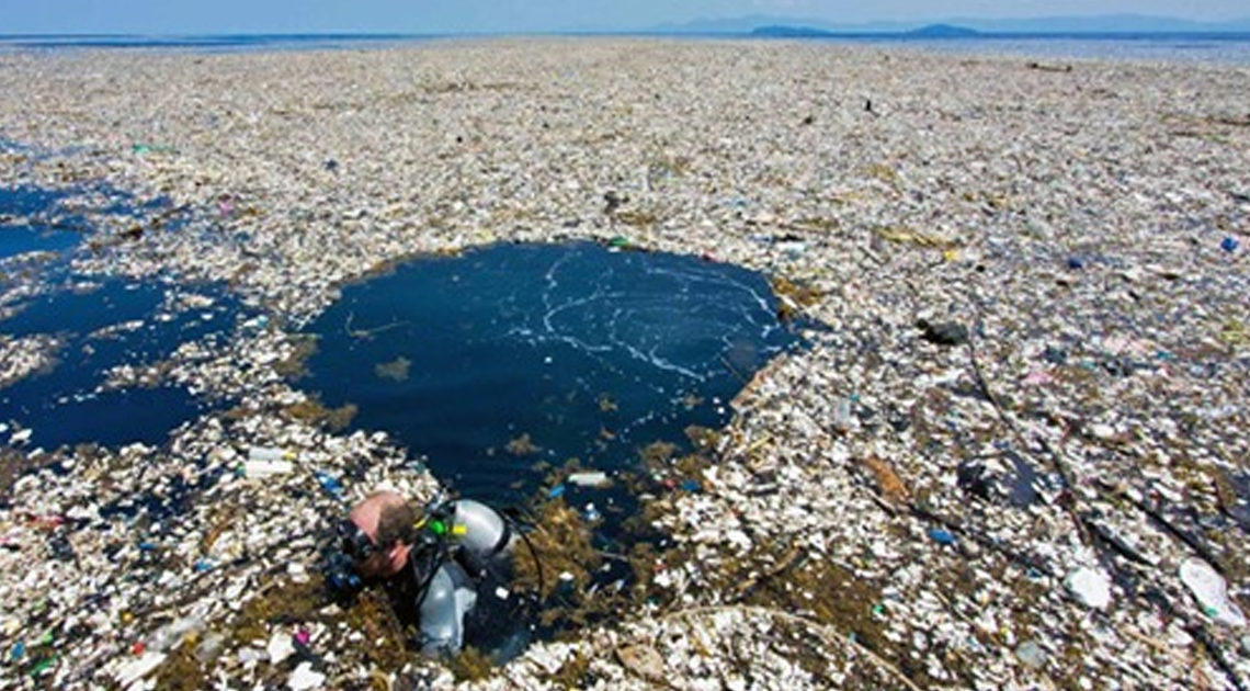 В Тихом океане из мусора образовался огромный остров